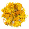 Marigold Flowers (Calendula) - Organic